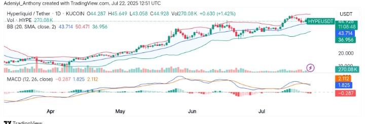 Hyperliquid (HYPE/USDT) Approaches Strong Resistance: What's Next?