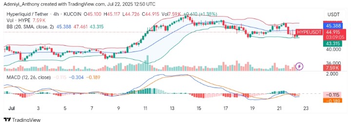 Hyperliquid (HYPE/USDT) Approaches Strong Resistance: What's Next?