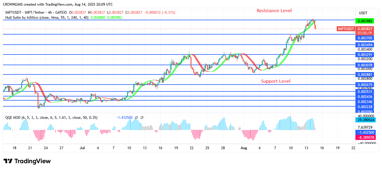 IMPTUSDT Price Increases to Draw More Investors