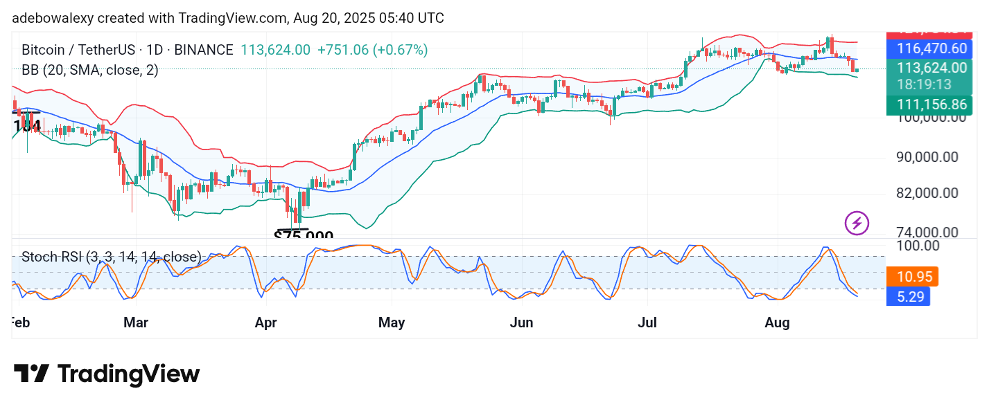 Bitcoin (BTC) Price Prediction: BTC/USDT Dips Sharply, Creating a Low Entry Point