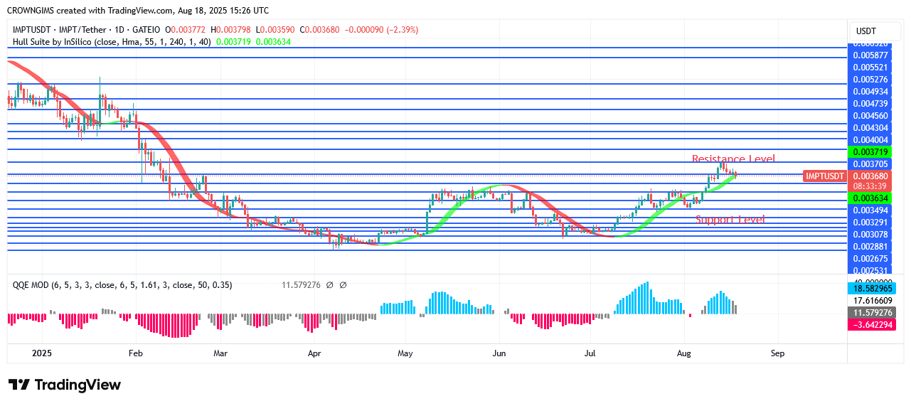IMPTUSDT Price Is Rising To Reward Investors