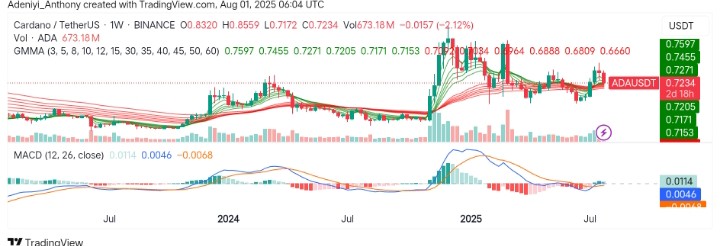 Cardano (ADA/USDT) Teetering on the Edge of a Breakdown