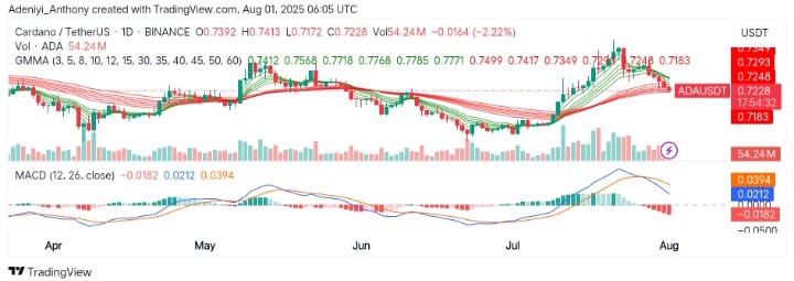 Cardano (ADA/USDT) Teetering on the Edge of a Breakdown