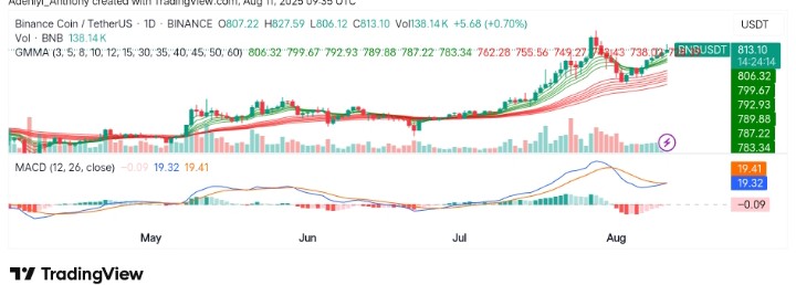 BNB (BNB/USDT) Hopes for More Upward Trajectory Beyond $800