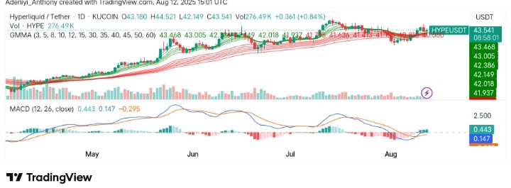 Hyperliquid (HYPE/USDT) Poised for Further Upside Gains