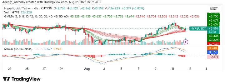 Hyperliquid (HYPE/USDT) Poised for Further Upside GainsHyperliquid (HYPE/USDT) Poised for Further Upside Gains