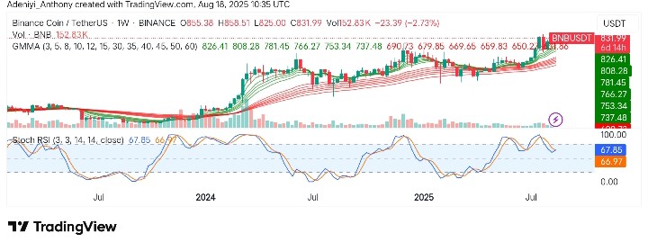BNB (BNB/USDT) Building a Strong Base for Continued Upside Movement
