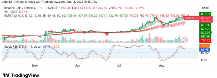 BNB (BNB/USDT) Building a Strong Base for Continued Upside Movement