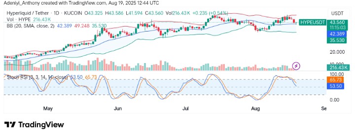 Hyperliquid (HYPE/USDT) Pullback for Another Breakout