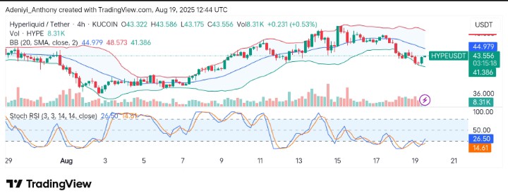 Hyperliquid (HYPE/USDT) Pullback for Another Breakout