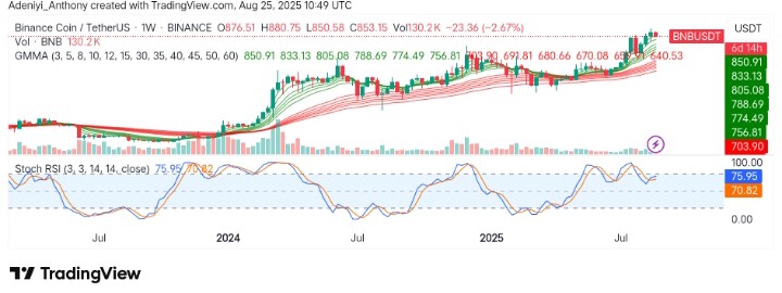 BNB (BNB/USDT) Sees Minor Pullback: What's Next?