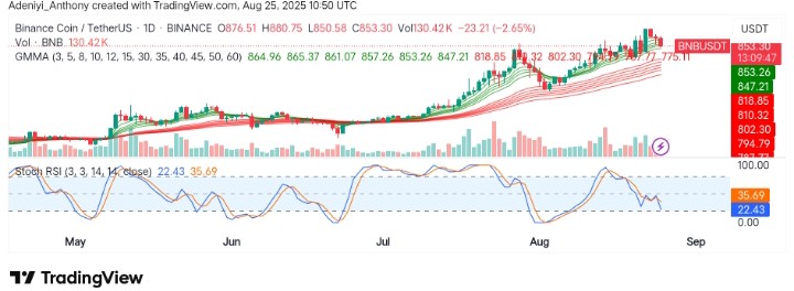 BNB (BNB/USDT) Sees Minor Pullback: What's Next?
