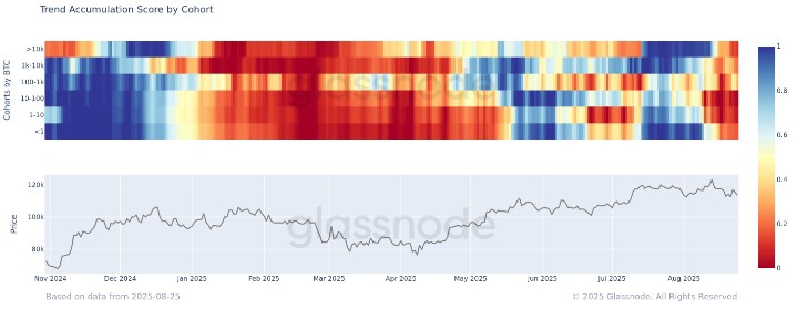 Bitcoin Faces Increasing Downside Risks as Market Conditions Change