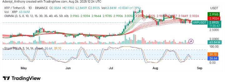 XRP (XRP/USDT) Seeks More Gains Amidst Declining Momentum