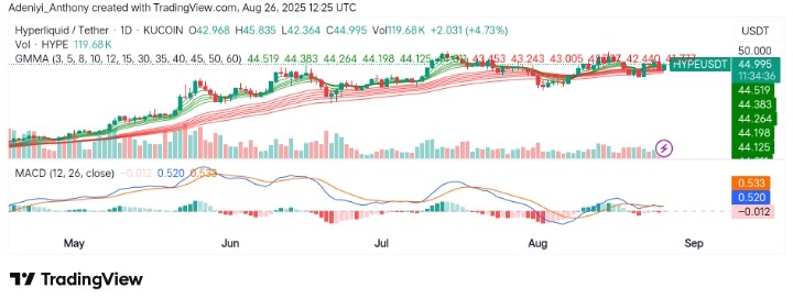 Hyperliquid (HYPE/USDT) Shows Early Signs of Bullish Continuation Above Key Levels