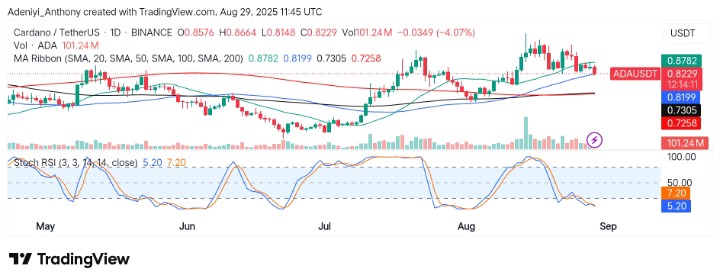 Cardano (ADA/USDT) Consolidates at a Critical Point: Breakout Ahead?