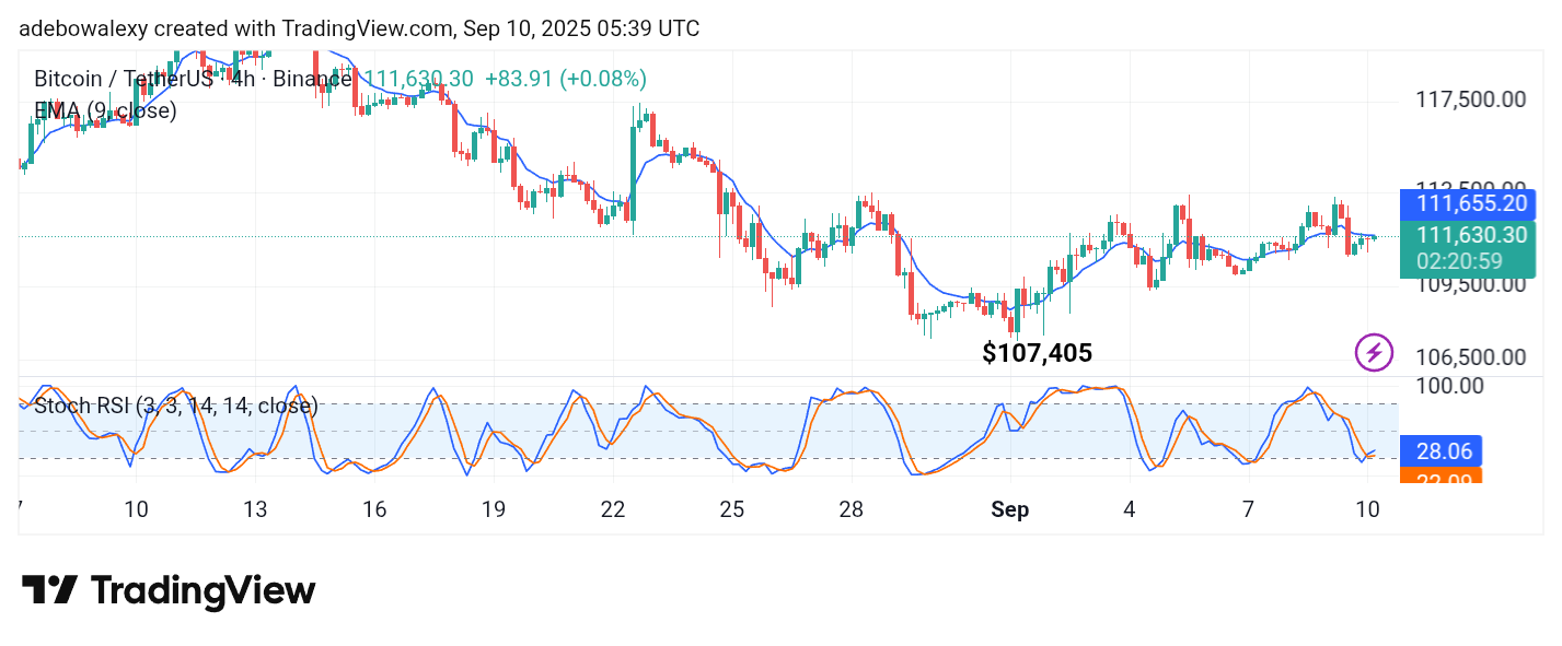 Bitcoin (BTC) Price Prediction: Bitcoin (BTC) Price Prediction: BTC/USDT Bulls Find It Hard to Breach the $113,000 Ceiling