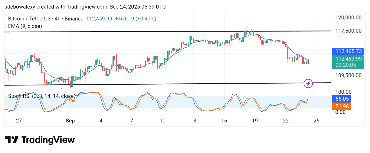 Bitcoin (BTC) Price Prediction: BTC/USDT Continues to Struggle Below the $117,500 Mark