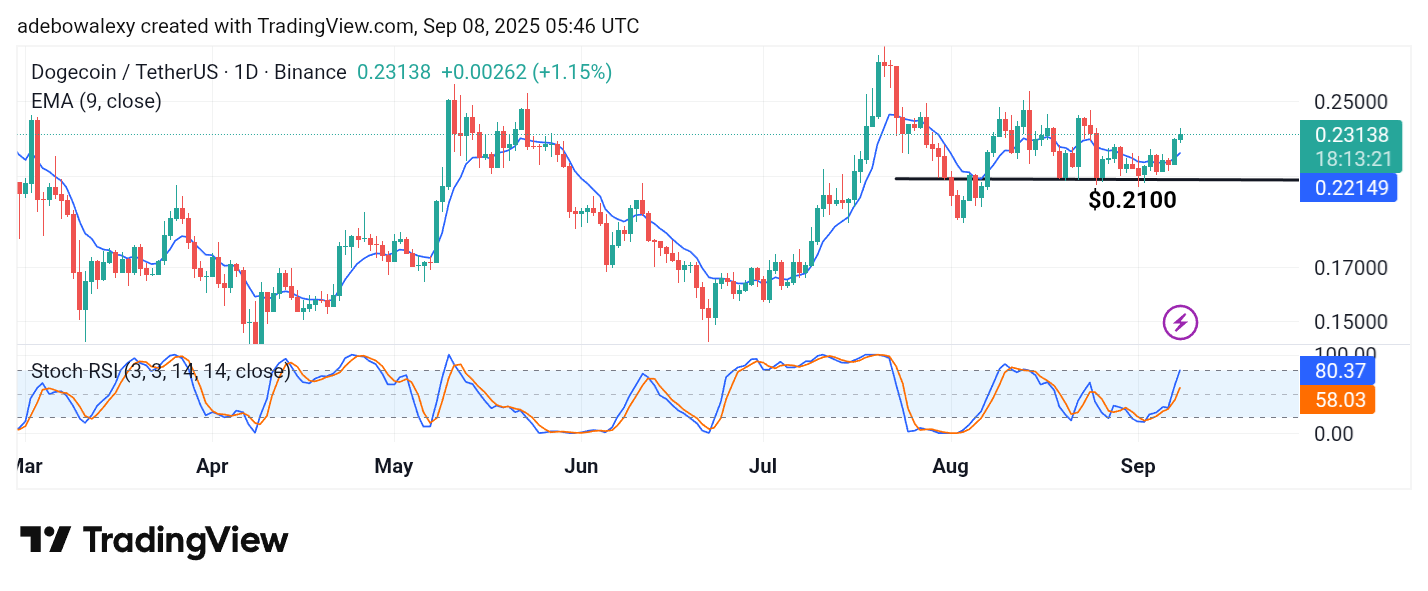 Dogecoin (DOGE) Price Prediction: DOGE/USDT Charges Toward the $0.2500 Mark