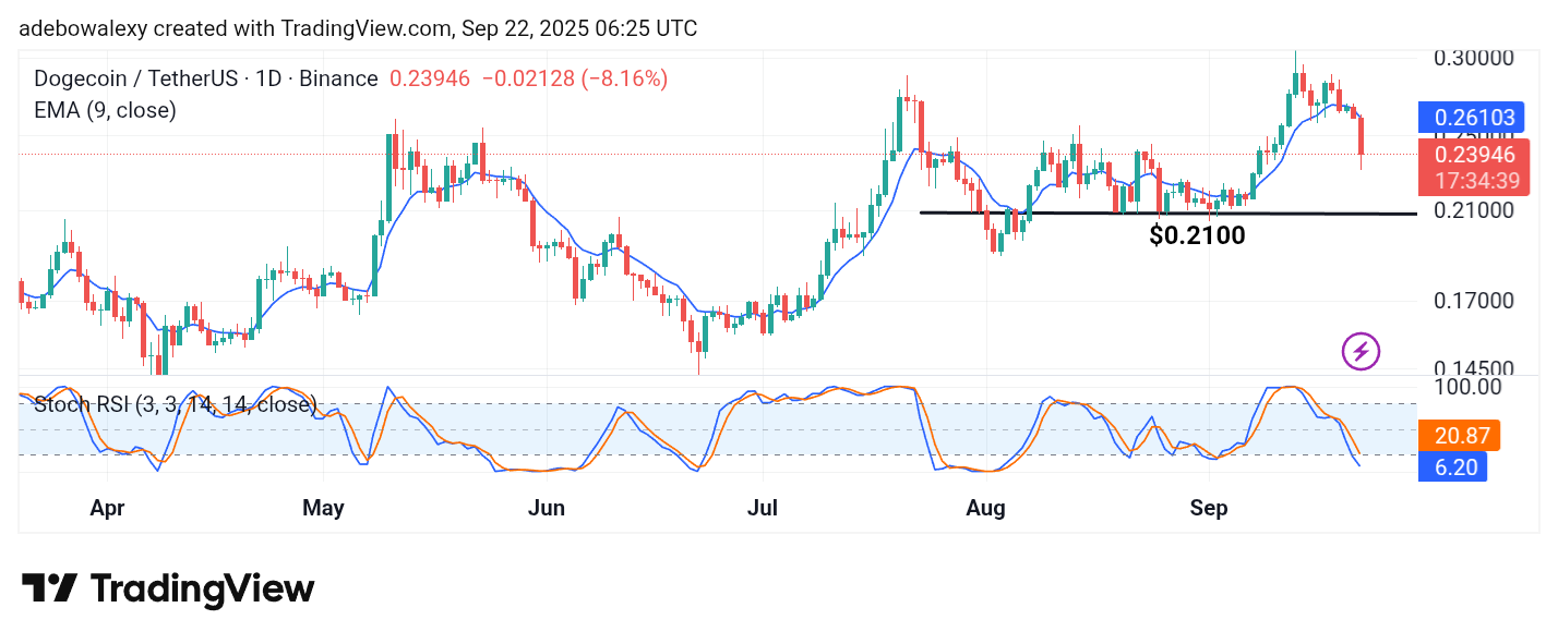Dogecoin (DOGE) Price Prediction: DOGE/USDT Slumps