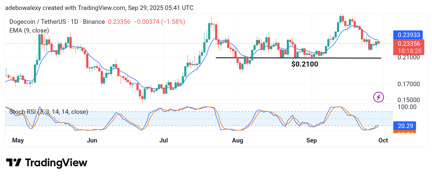 Dogecoin (DOGE) Price Prediction: DOGE/USDT Sees General Upward Rebound