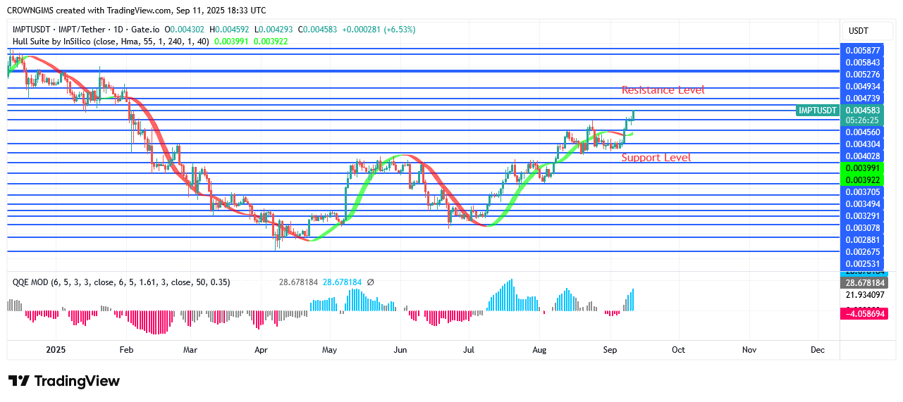 IMPTUSDT Price Has Begun to Rise