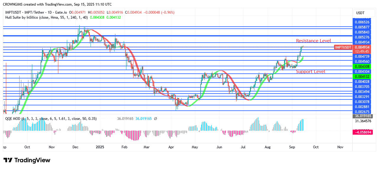 IMPTUSDT Daily Chart Indicates Growing Market