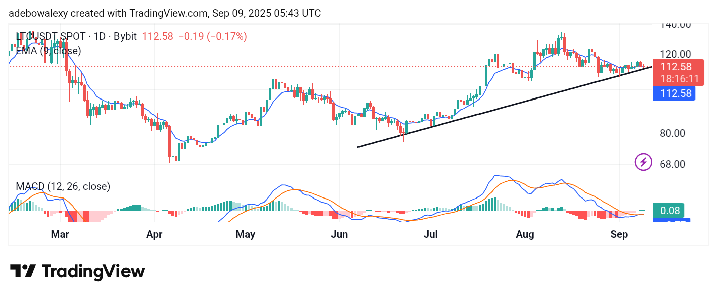 Litecoin (LTC) Price Prediction: LTC/USDT Market Slightly Elevated
