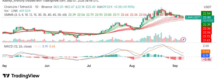 ChainLink (LINK/USDT) Consolidates Near $22.03 Support: What's Next?