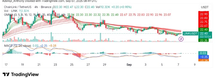 ChainLink (LINK/USDT) Consolidates Near $22.03 Support: What's Next?