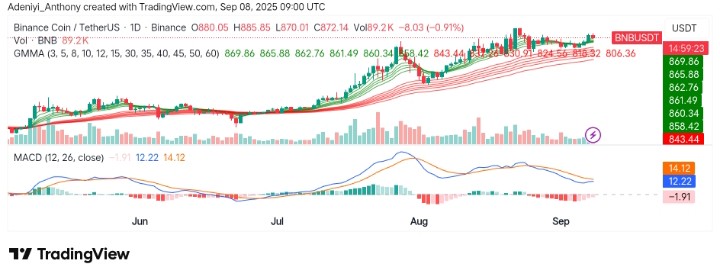 BNB (BNB/USDT) Holding Ground: What's Next?