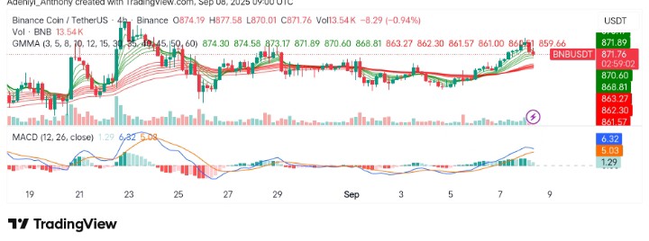BNB (BNB/USDT) Holding Ground: What's Next?