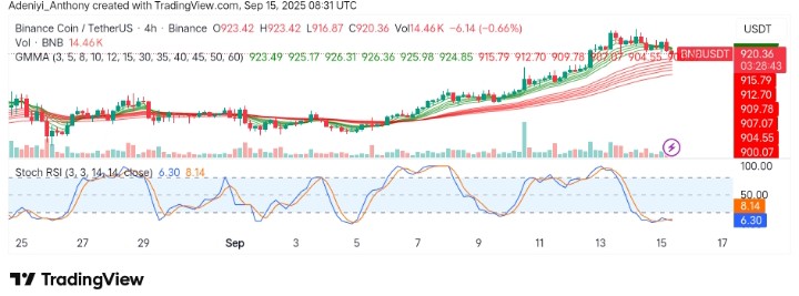 BNB (BNB/USDT) Bullish Run: Is It Time for a Break or Further Momentum?