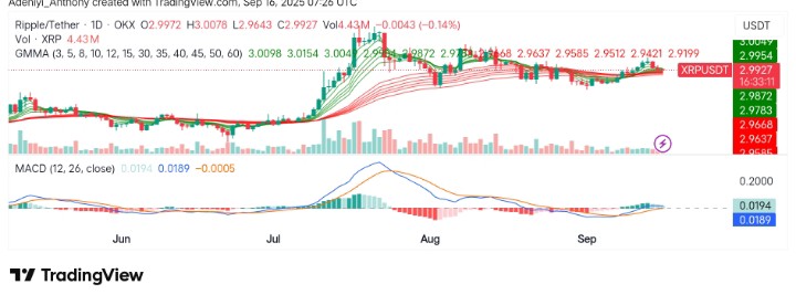 XRP (XRP/USDT) Preparing for the Next Move