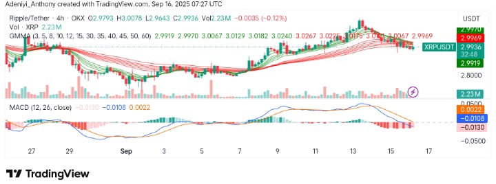 XRP (XRP/USDT) Preparing for the Next Move