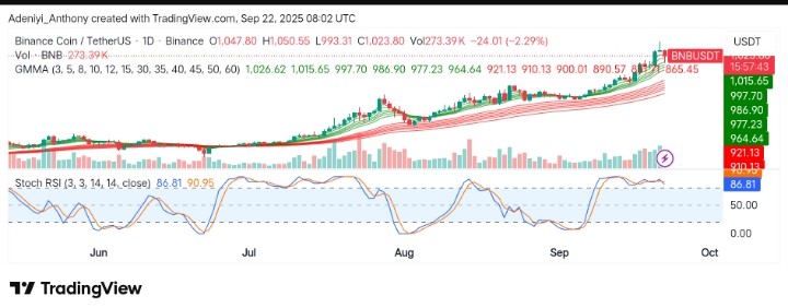 BNB (BNB/USDT) Surges and Potential Market Roadblocks