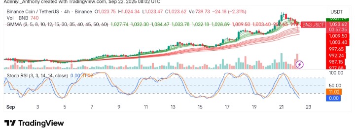 BNB (BNB/USDT) Surges and Potential Market Roadblocks
