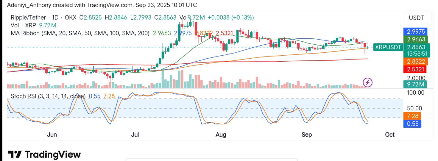 XRP (XRP/USDT) Faces Crucial Test as Resistance and Support Levels Guide Next Moves