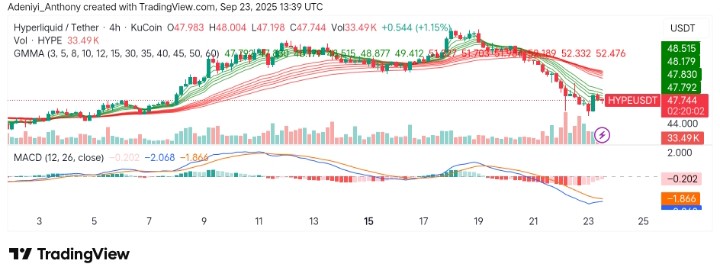 Hyperliquid (HYPE/USDT) Awaits Bullish Reversal Amid Bearish Pressure
