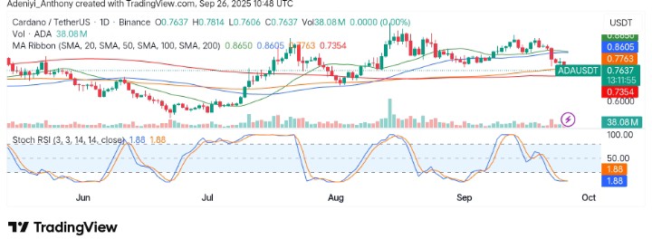 Cardano (ADA/USDT) Struggles for Momentum: What to Expect