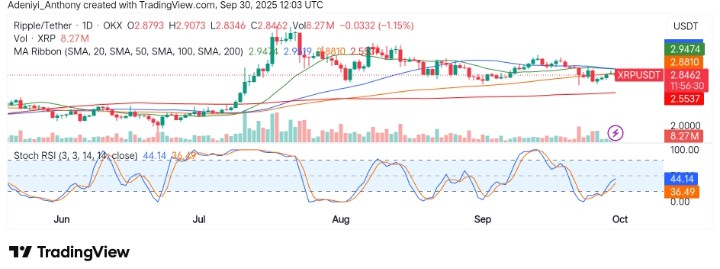 XRP (XRP/USDT) Consolidates as Momentum Indicator Indicates Strength