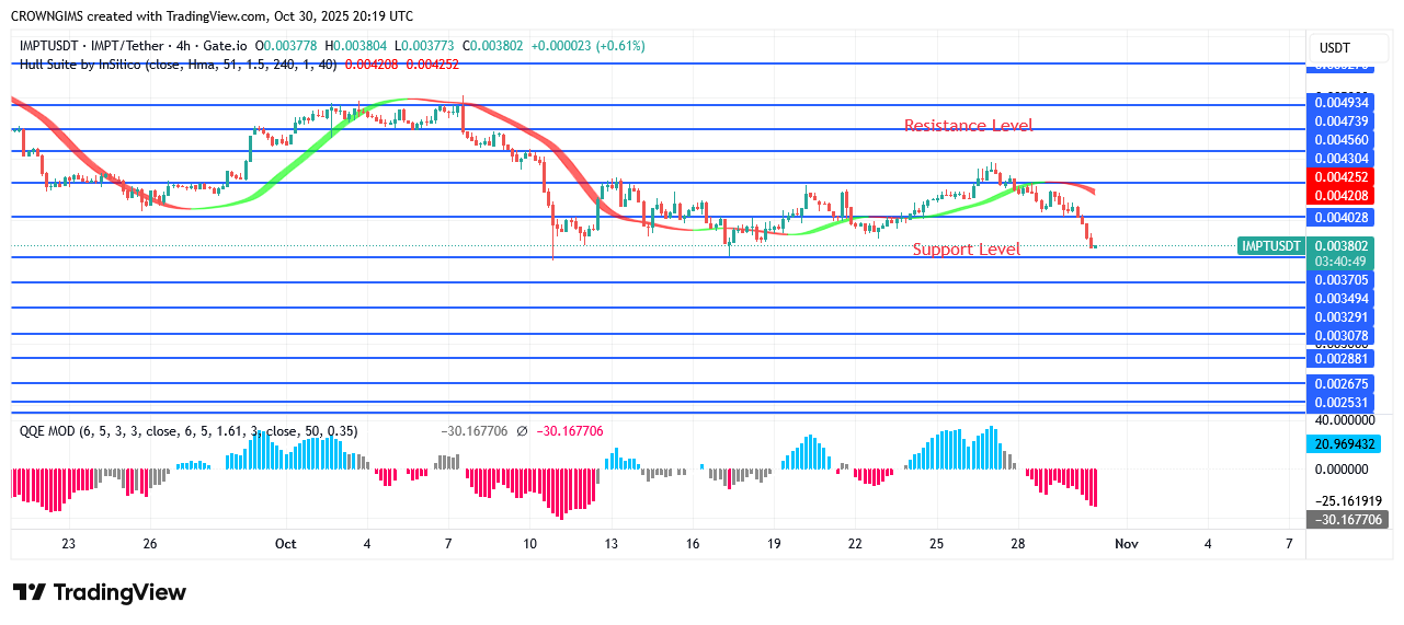 IMPTUSDT Price Is Increasing as Investors Increase
