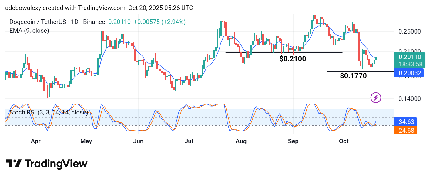 Dogecoin (DOGE) Price Prediction: DOGE/USDT Commences Trading Above the $0.2000 Mark