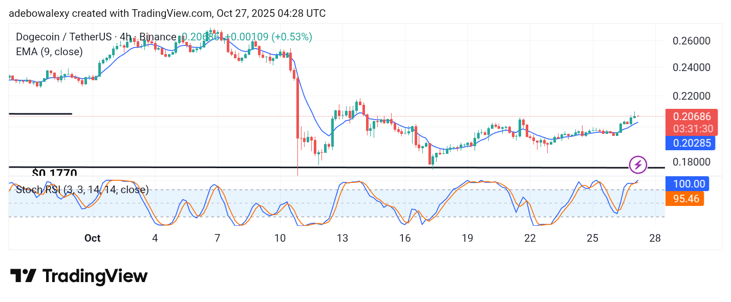 Dogecoin (DOGE) Price Prediction: DOGE/USDT Holds Tightly to Minimal Gains