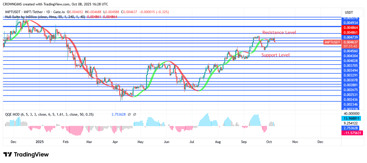 IMPTUSDT Price: Investors Are Profiting from Upward Trend
