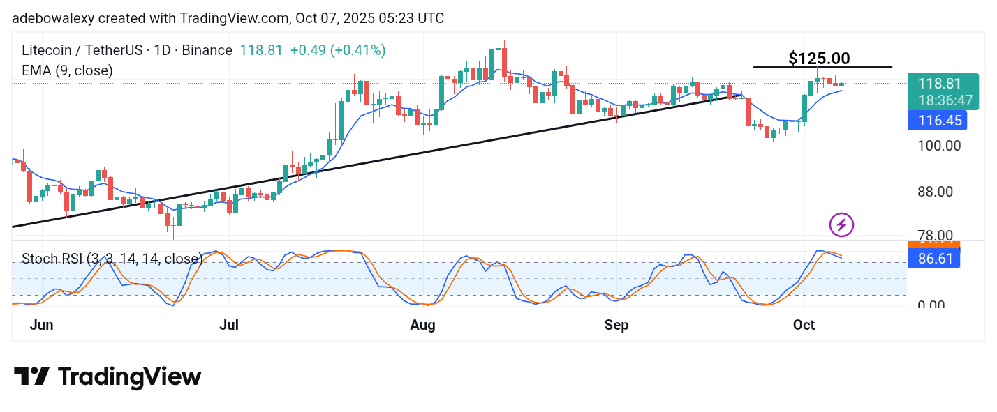 Litecoin (LTC) Price Prediction: LTC/USDT Hits a Wall at $125