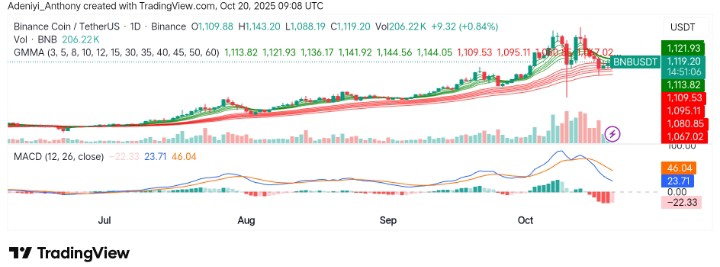 BNB (BNB/USDT) Resumes Rally as Bullish Momentum Pushes Price to New Highs Amid Market Optimism