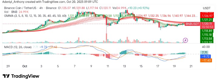BNB (BNB/USDT) Resumes Rally as Bullish Momentum Pushes Price to New Highs Amid Market Optimism