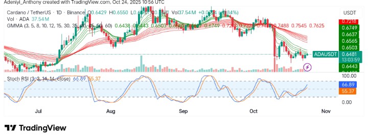 Cardano (ADA/USDT) Faces Crucial Price Levels Amid Volatility