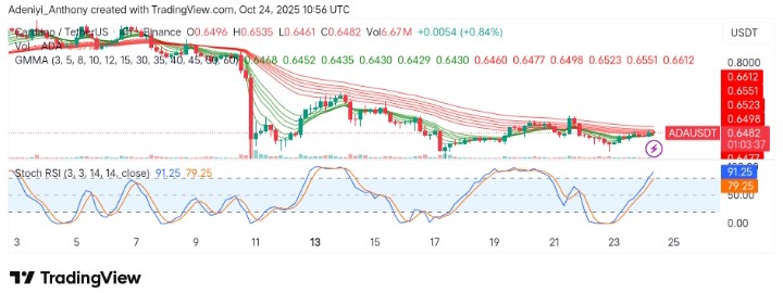 Cardano (ADA/USDT) Faces Crucial Price Levels Amid Volatility